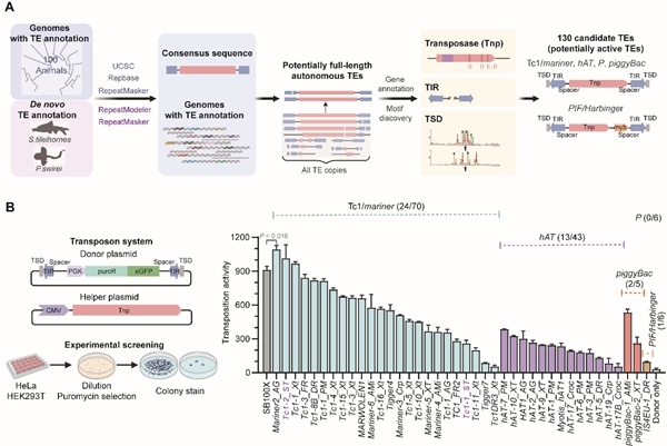 基因工程最新進(jìn)展概覽