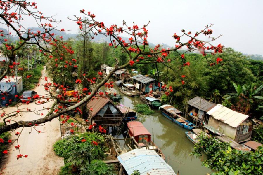 新會雙水小岡最新招聘信息更新出爐
