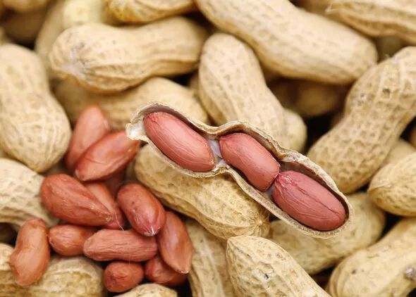 遼寧花生米最新價格行情動態更新!