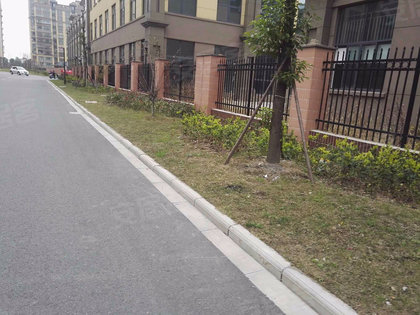 正場花苑,自然美景探索之旅,尋找內心的平和寧靜最新消息