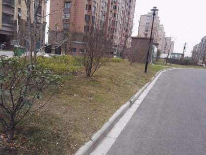 正場花苑,自然美景探索之旅,尋找內心的平和寧靜最新消息