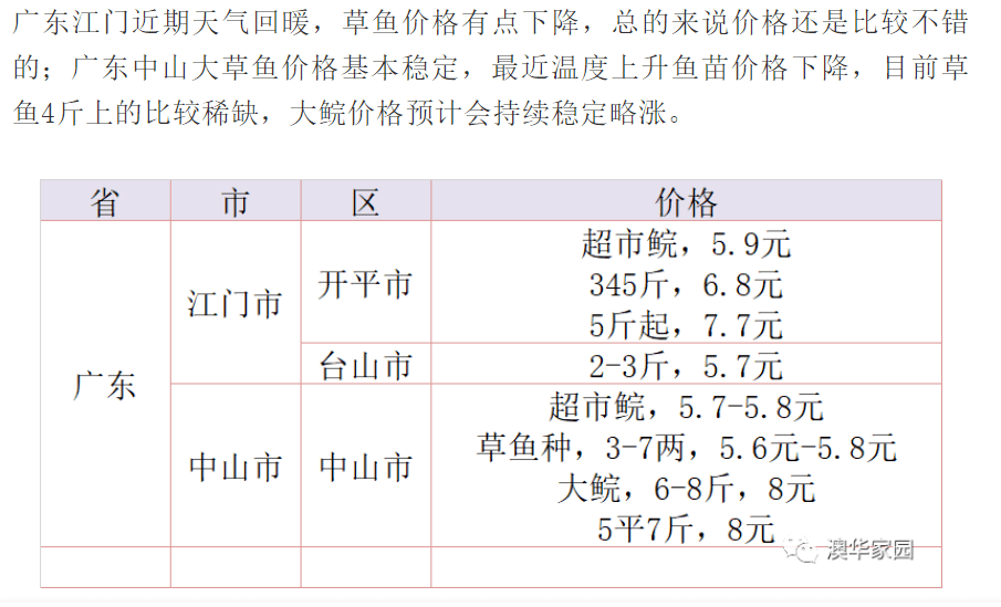 魚最新行情,小巷美食探秘——品味獨特魚鮮