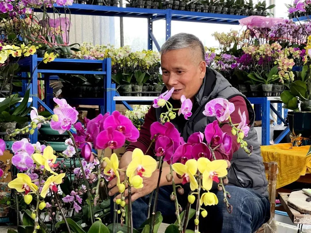 最新花社區,綠色之旅,尋找內心平靜的旅程