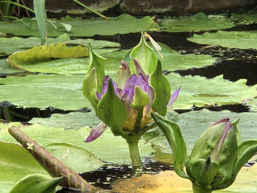 最新悶渣步驟指南,從入門到精通的全方位指南