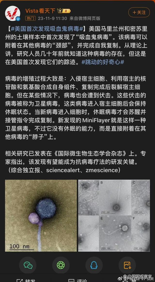 最新神秘病毒,小巷深處的獨特邂逅探秘