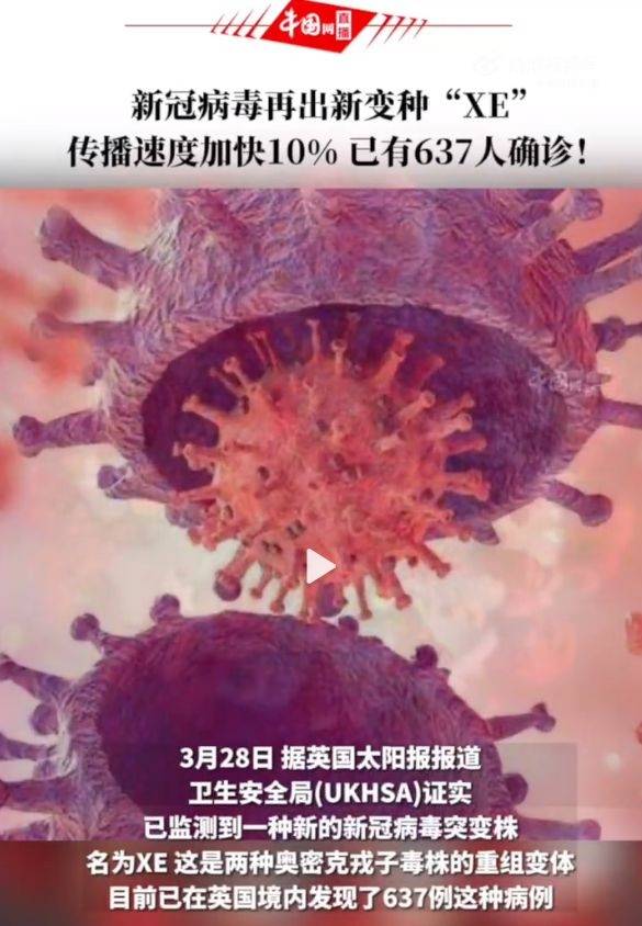 最新神秘病毒,小巷深處的獨特邂逅探秘