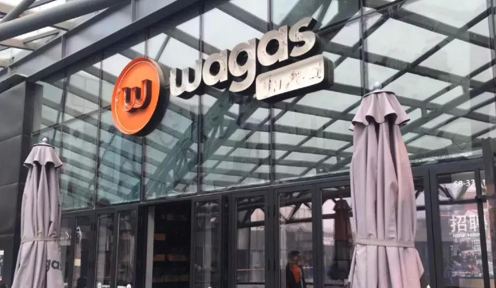 最新哈啰出行,共享出行的深度探討與未來發展