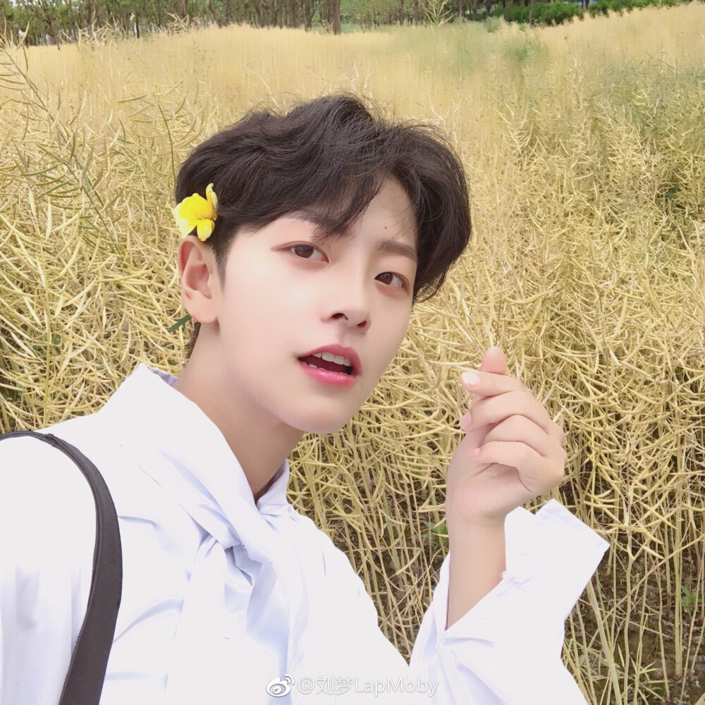 劉夢最新指南,詳細步驟教你如何完成任務或學習新技能