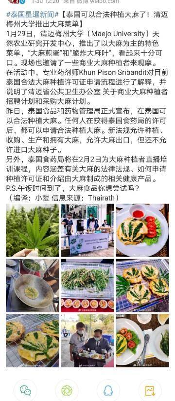 帶你走進不一樣的世界,大痳最新揭秘!