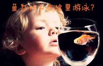 探索最新牛人現象,揭秘91牛人熱潮的啟示