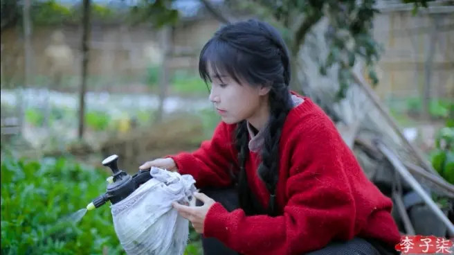 李子柒現象級美食文化之旅,探索美食魅力的無限可能