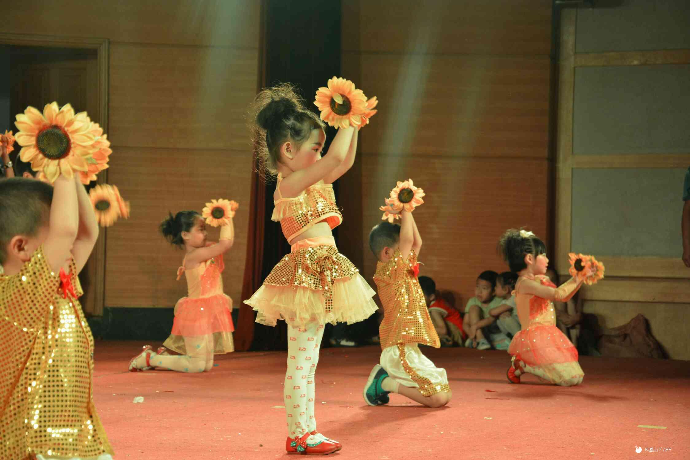 幼兒最新表演,綻放的童真之花盛宴