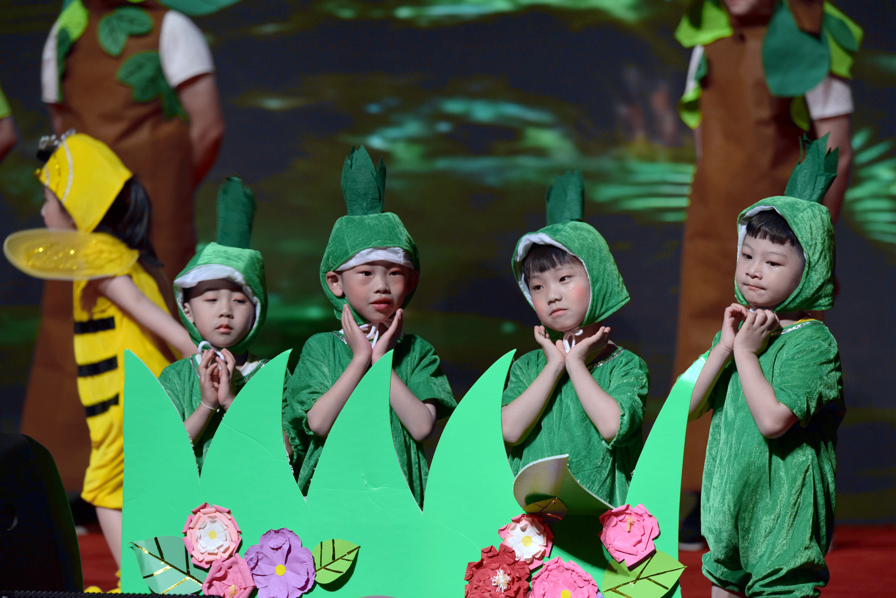 幼兒最新表演,綻放的童真之花盛宴