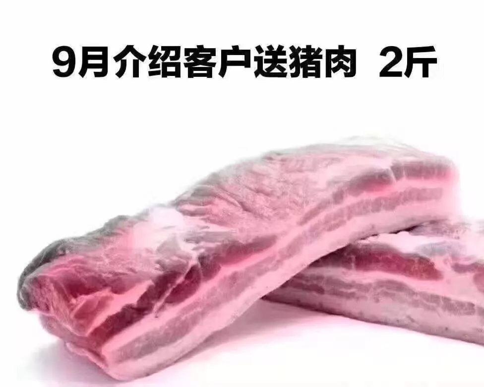 重慶最新肉價(jià)與科技重塑生活,智能引領(lǐng)未來新篇章