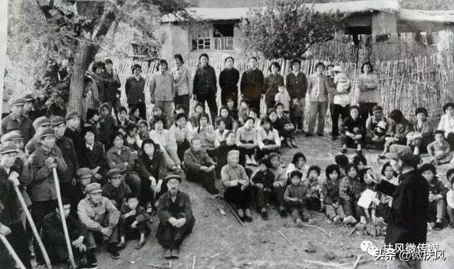 最新狗文,小巷深處的獨特狗味探索