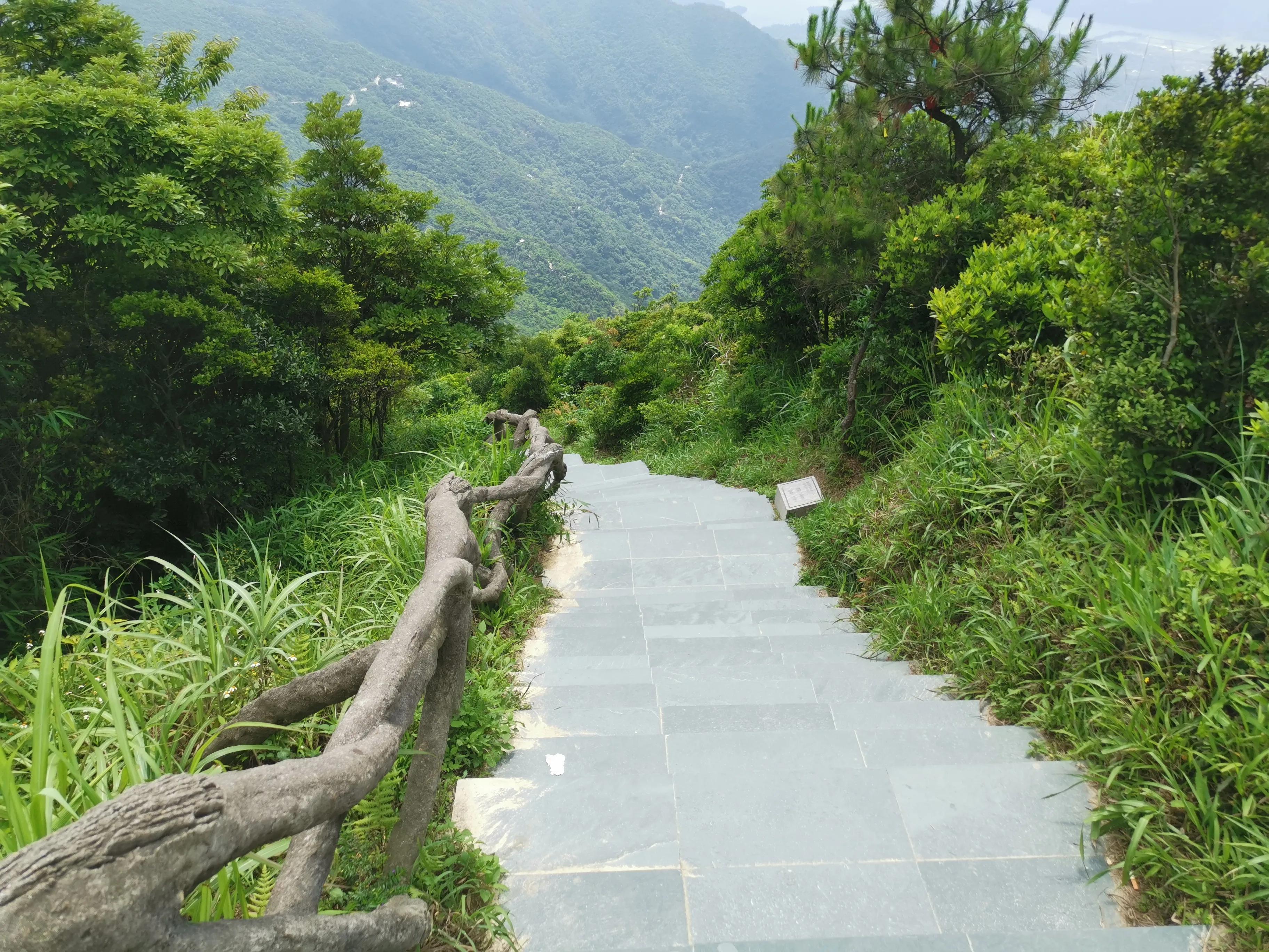 深圳城市新貌,綠色發展的贊歌,美景盡收眼底