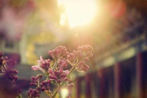 時(shí)代繁榮與變遷下的人間最新安風(fēng)采