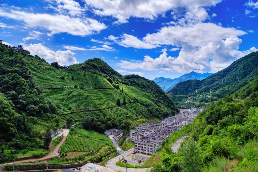 湖北最新確診背后的趣事與情感紐帶