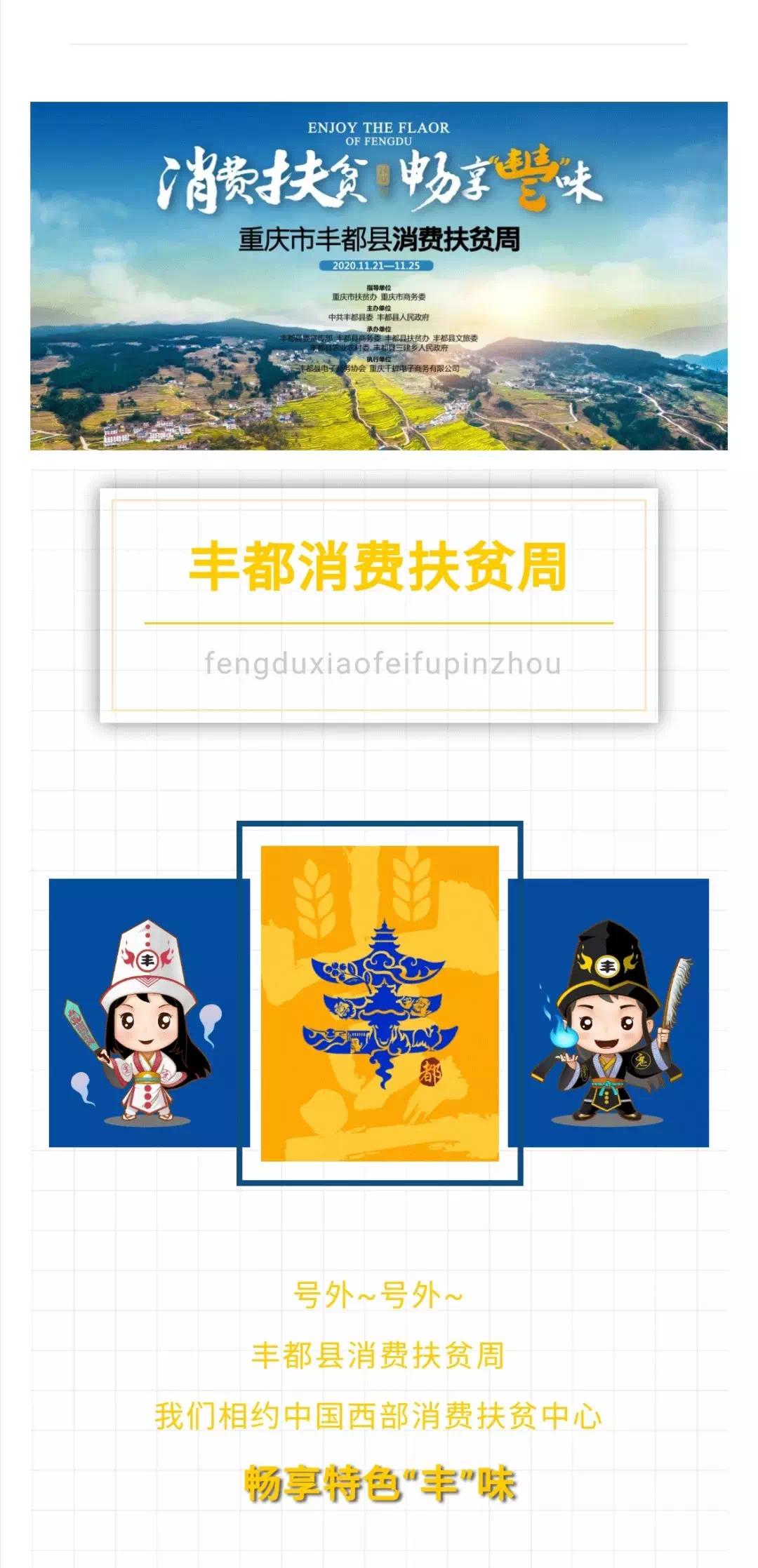 豐都最新歸化,探索與解讀