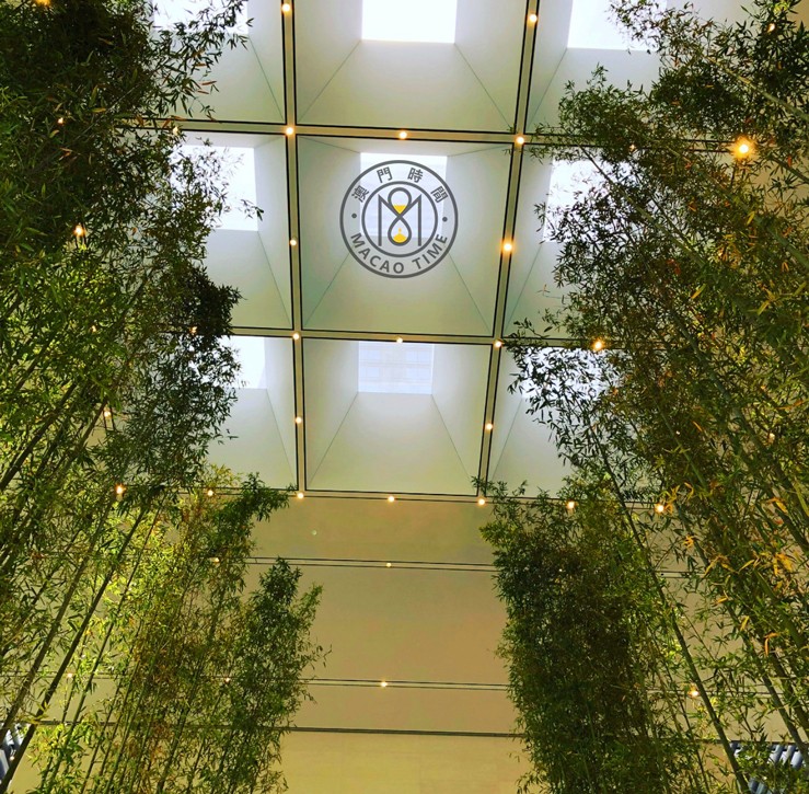 最新賭場攻略與心靈之旅,尋找寧靜與大自然的親密之旅