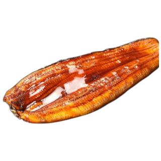 最新鰻魚(yú)網(wǎng),變化中學(xué)習(xí),鑄就自信與成就的力量之源