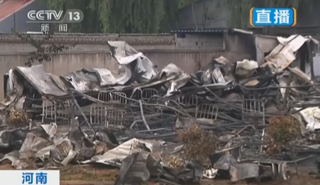 河南最新死亡事件,理解、科普與應(yīng)對(duì)策略