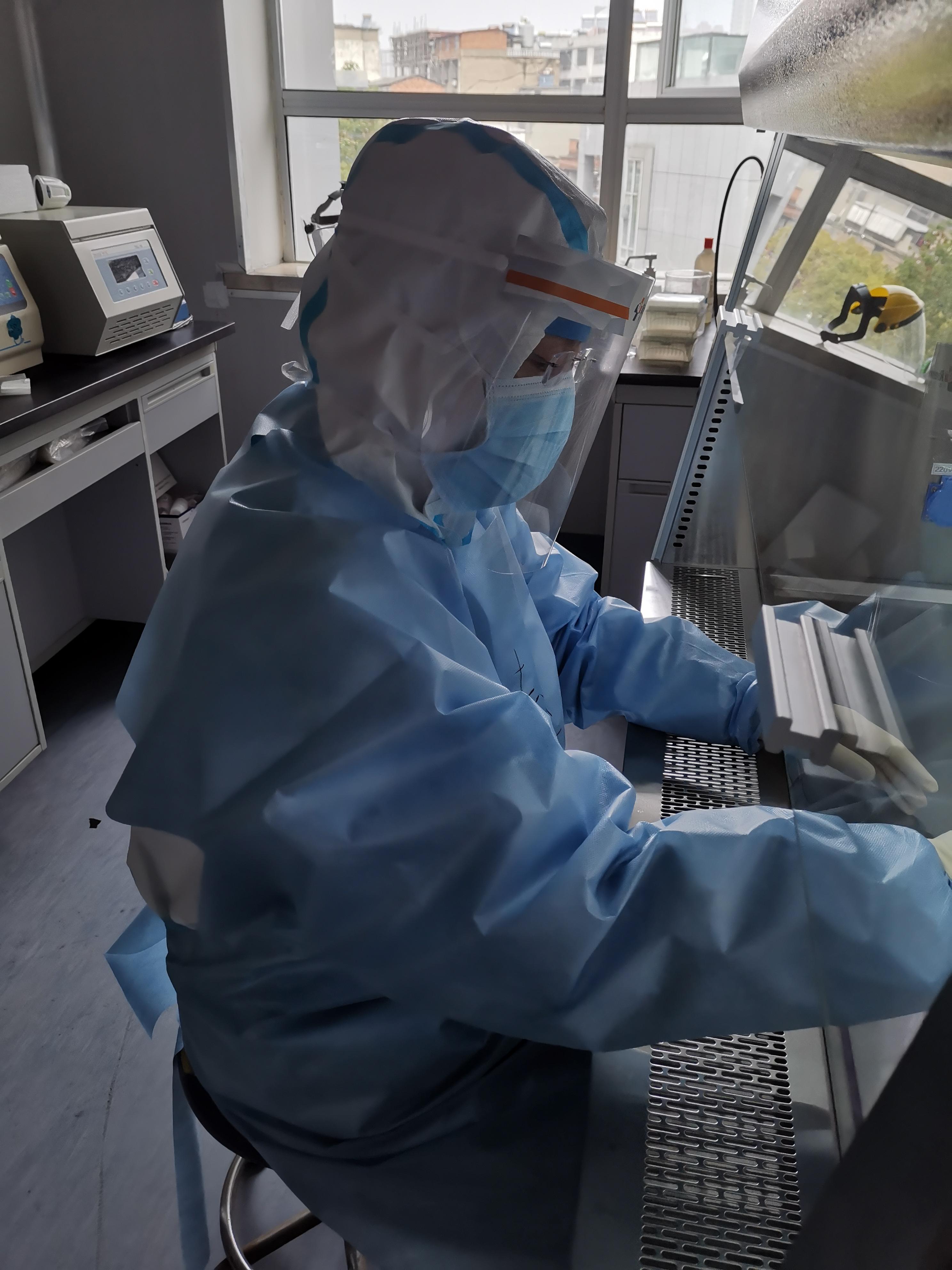 陽(yáng)新最新肺炎,小巷深處的獨(dú)特發(fā)現(xiàn)