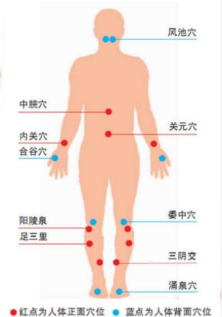 最新特效圖,溫馨日常與友情魔法的奇幻之旅