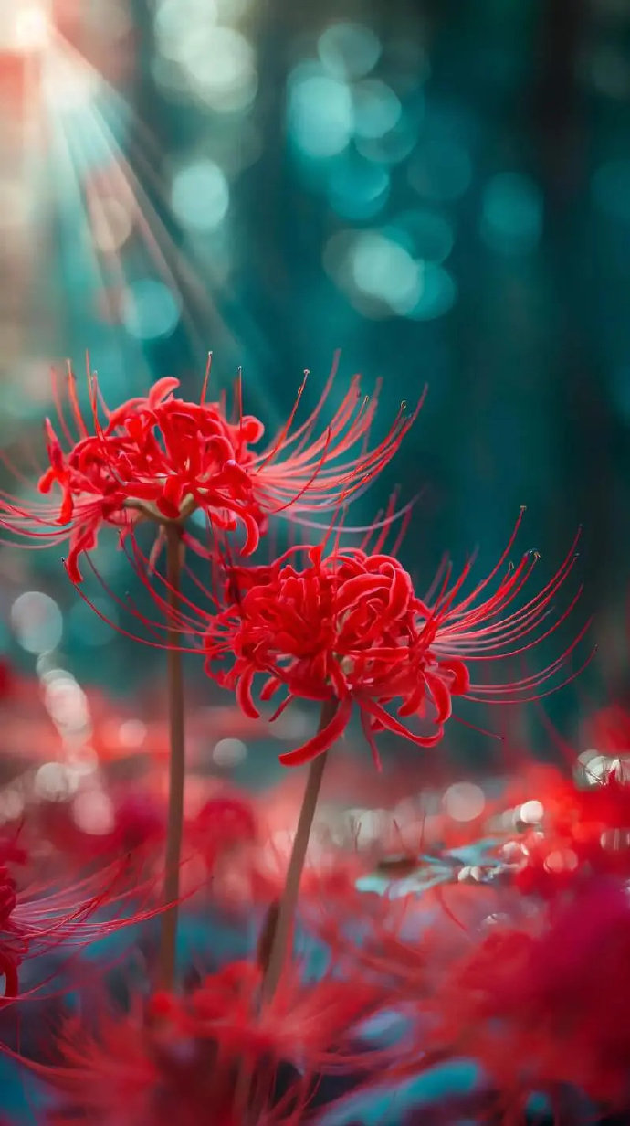 最新沙華科技產品介紹,探索前沿科技,領略創新魅力