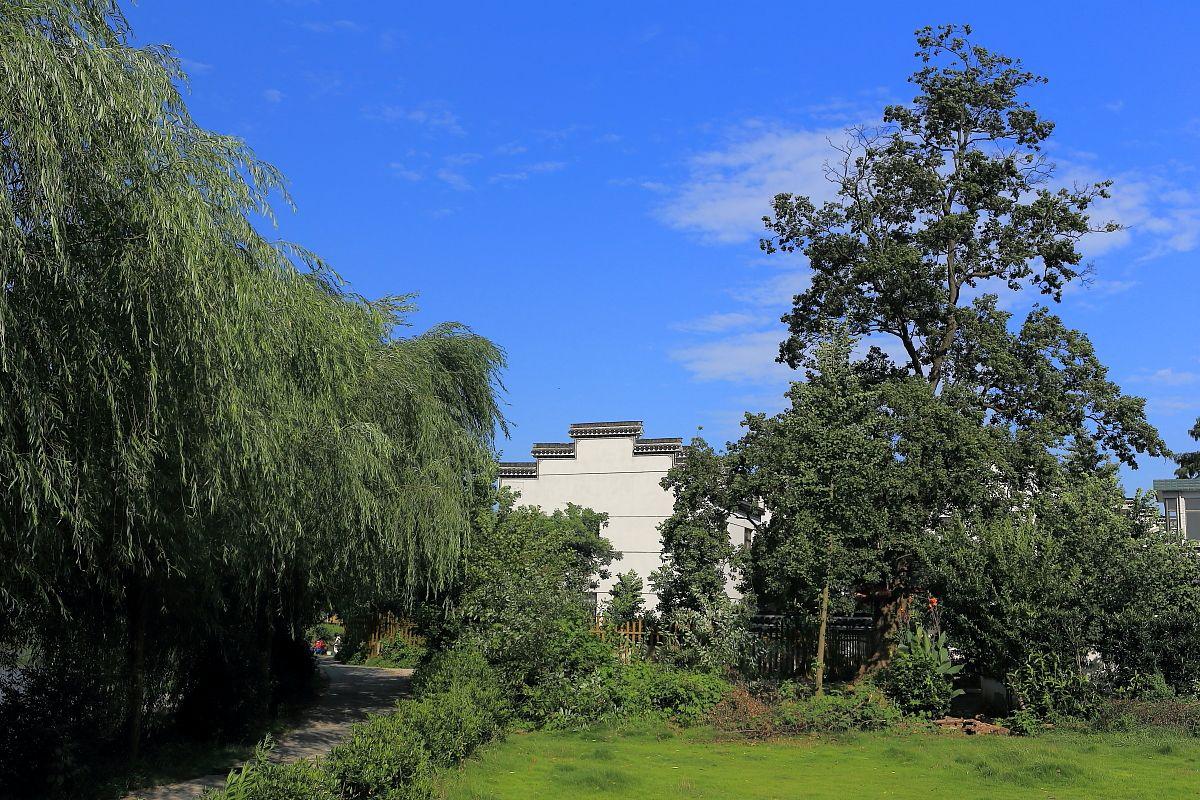 江蘇洪水現場,溫馨趣事涌現