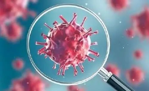 最新疫情糞便研究科普,了解與應對疫情糞便傳播風險的重要性