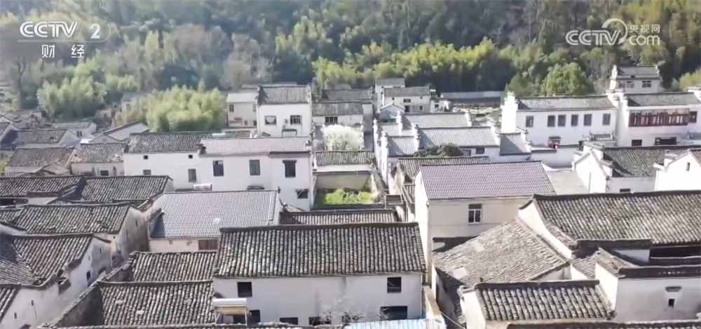 最新村介紹,探索新時代的鄉村魅力與變遷