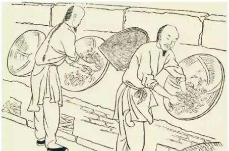 最新閩歌,唱響勵志之歌,擁抱學習與變化的自信與成就感