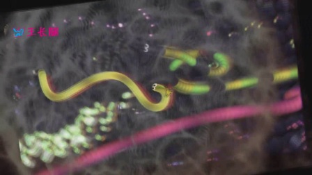 最新大蛇王技能學習與實踐指南