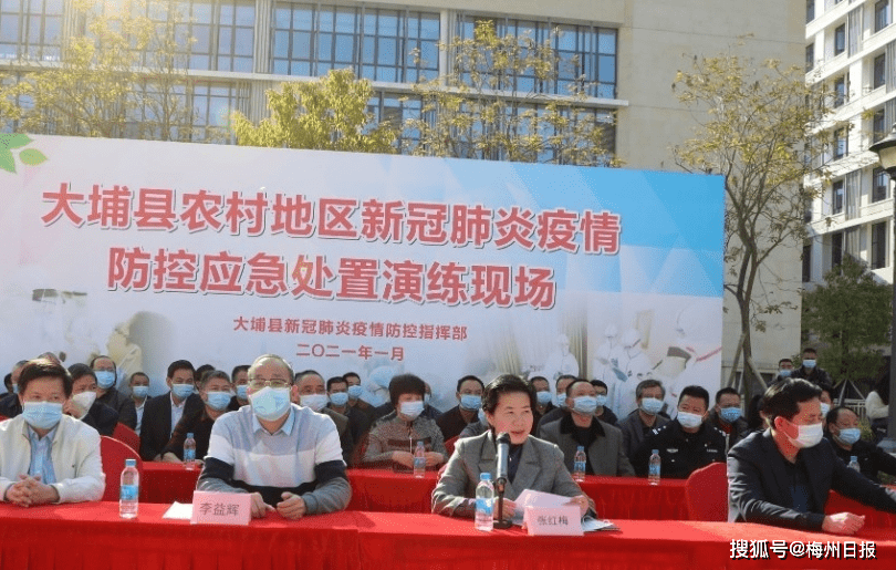 大埔最新疫情動態及防疫指南與應對步驟