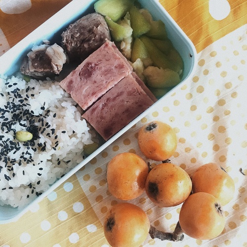 最新便當(dāng),自信與成就感的勵(lì)志餐開啟新篇章