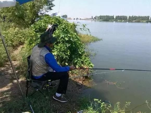 武漢垂釣秘境探索,巷弄深處的垂釣點與獨特小店最新資訊