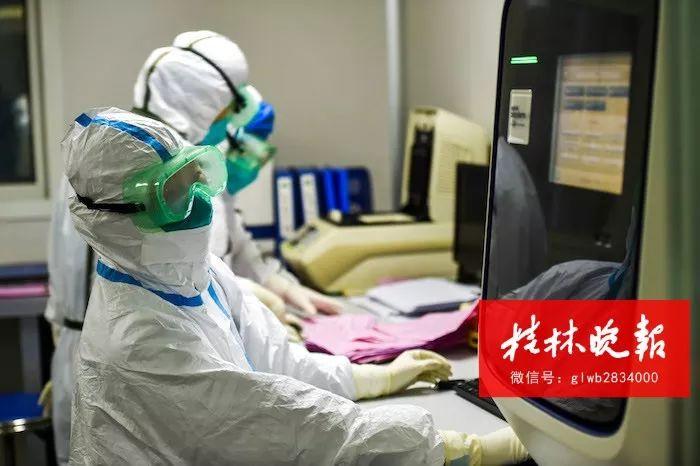 桂林最新病例詳解,從初學(xué)者到進(jìn)階用戶的步驟指南