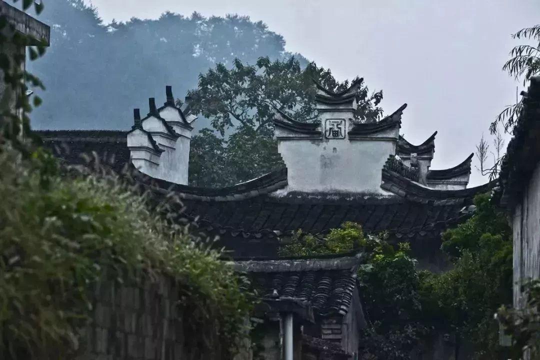 小巷深處的獨(dú)特風(fēng)情與隱藏的特色小店,最新水環(huán)流探訪報(bào)告