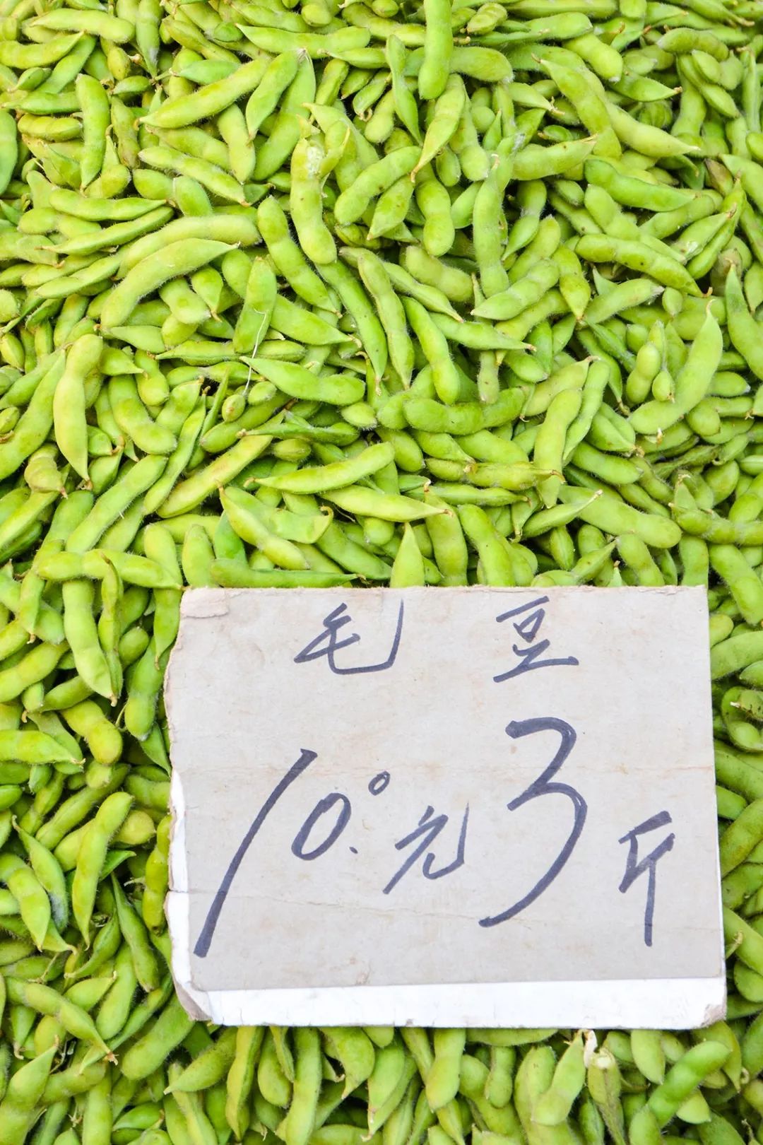 毛豆最新價格揭秘,最新行情大揭秘????