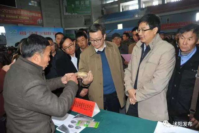 沭陽最新招聘信息揭秘,小巷深處的職業機遇