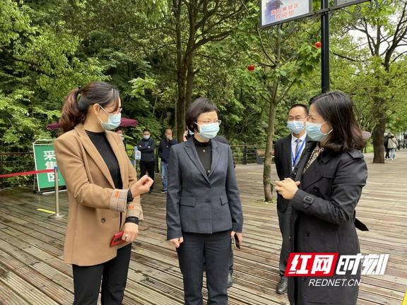 張家界最新疫情動態,背景、進展與影響概述