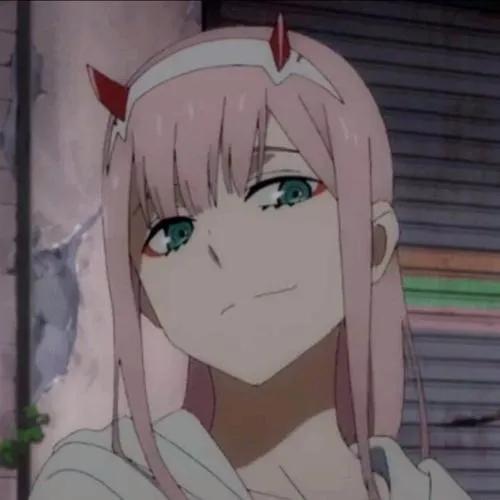 最新XP系統安裝與使用指南,從初學者到進階用戶一步到位