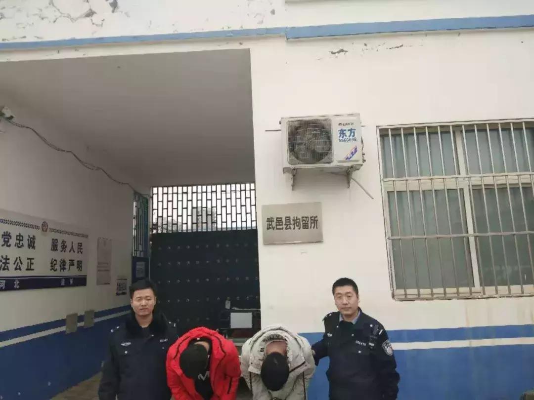 衡水最新案件深度揭秘