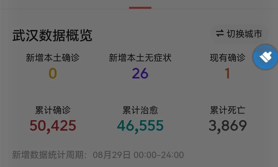 湖北武漢最新疫情觀點(diǎn)論述,疫情現(xiàn)狀與應(yīng)對(duì)策略分析