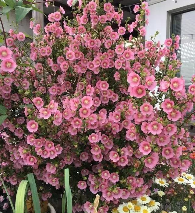 花都最新招聘信息及求職步驟指南