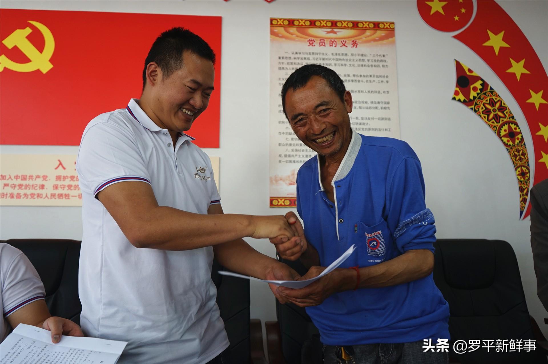 最新油菜籽價格揭秘,小巷深處的風味背后的秘密揭曉