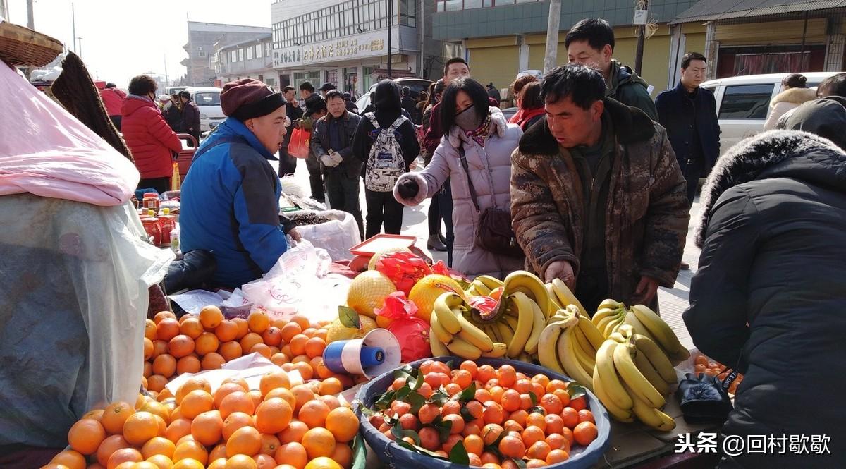 最新油菜籽價格揭秘,小巷深處的風味背后的秘密揭曉