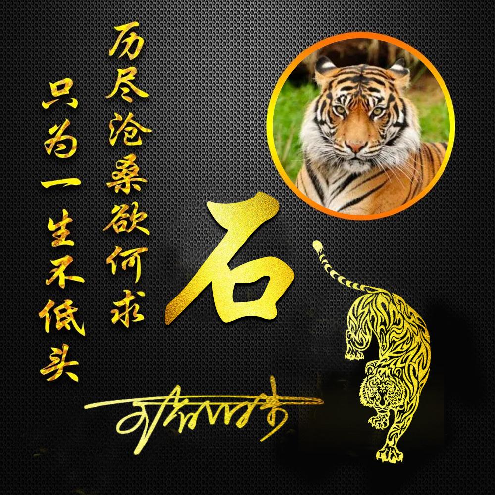 微信最新版功能更新與用戶體驗(yàn)深度探討