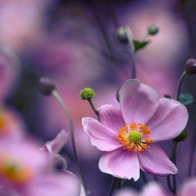 微信最新版功能更新與用戶體驗(yàn)深度探討